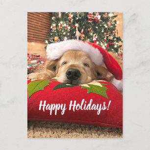 Christmas Golden Retriever Dog Asleep Under Tree Holiday Postcard