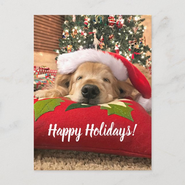 Christmas Golden Retriever Dog Asleep Under Tree Holiday Postcard (Front)
