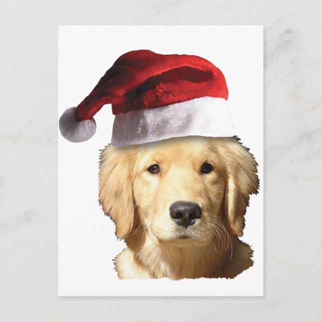 Christmas Golden Retriever Holiday Postcard (Front)