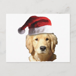 Christmas Golden Retriever Holiday Postcard