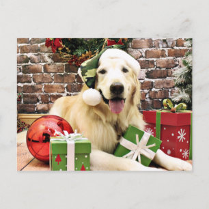 Christmas - Golden Retriever - Hudson Holiday Postcard