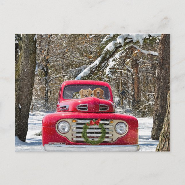 Christmas Golden Retriever in Retro Truck Holiday Postcard (Front)