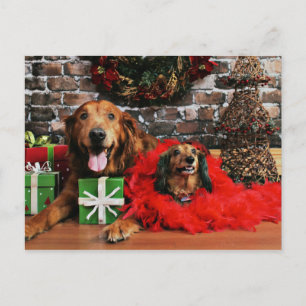 Christmas - Golden Retriever Max - Doxie - Chloe Holiday Postcard