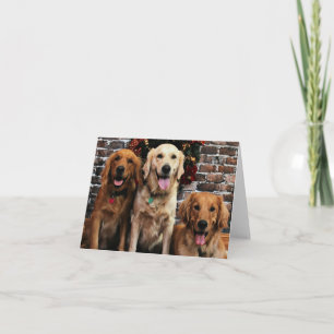 Christmas - Golden Retriever - Packer Bella Darby Holiday Card