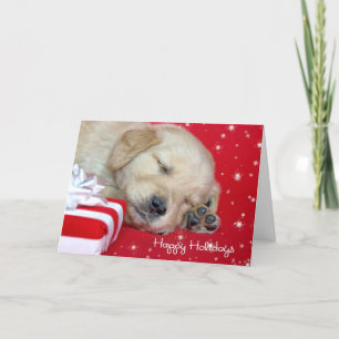 Christmas Golden Retriever Pup Holiday Card