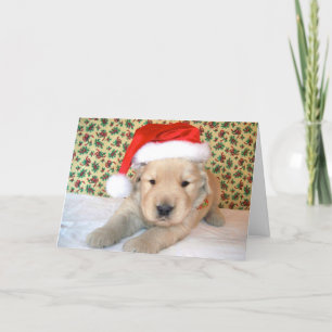 Christmas Golden Retriever Puppy Card