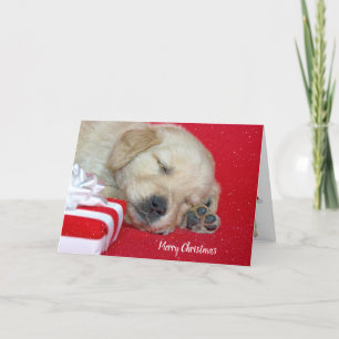 Christmas Golden Retriever Puppy Holiday Card
