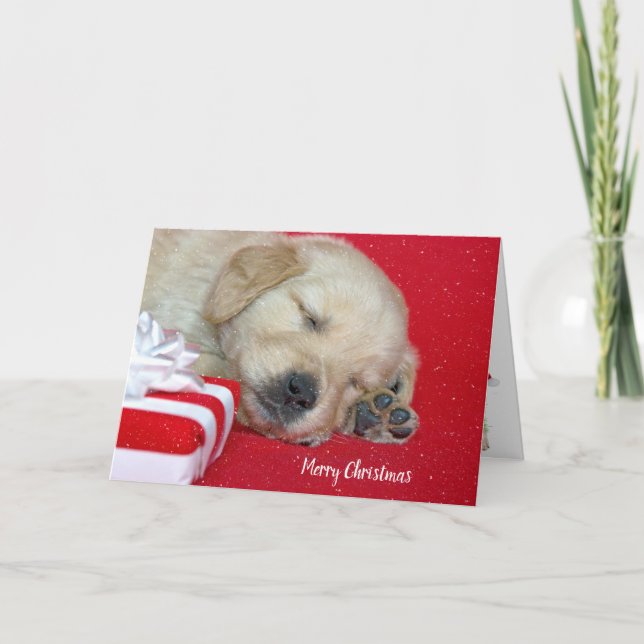 Christmas Golden Retriever Puppy Holiday Card (Front)