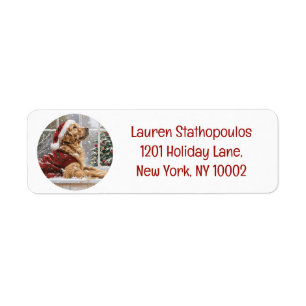 Christmas Golden Retriever Santa Dog