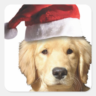 Christmas Golden Retriever Square Sticker