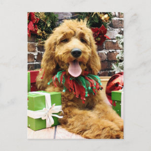 Christmas - GoldenDoodle - Claire Holiday Postcard