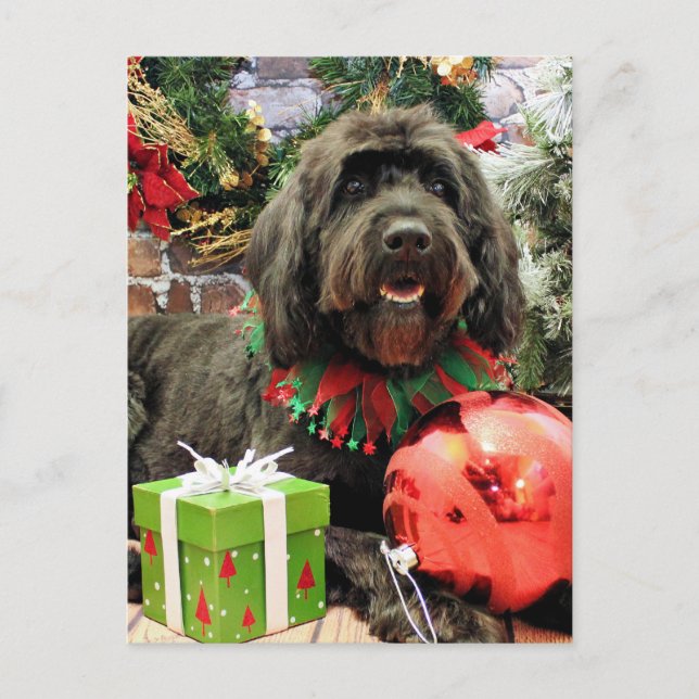 Christmas - GoldenDoodle - Dutch Holiday Postcard (Front)