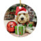 Christmas - GoldenDoodle - Gus