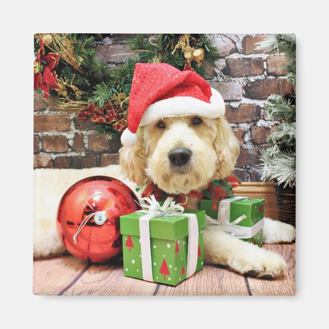 Christmas - GoldenDoodle - Gus Magnet (Front)
