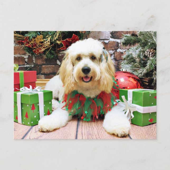 Christmas - GoldenDoodle - Mazey Holiday Postcard (Front)