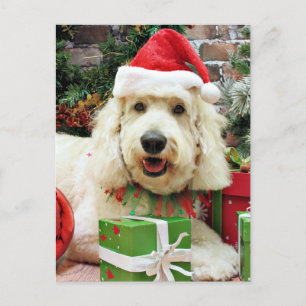 Christmas - GoldenDoodle - Peyton Holiday Postcard