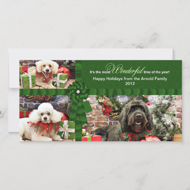 Christmas - GoldenDoodle Poodle Cockapoo - Arnold Holiday Card (Front)