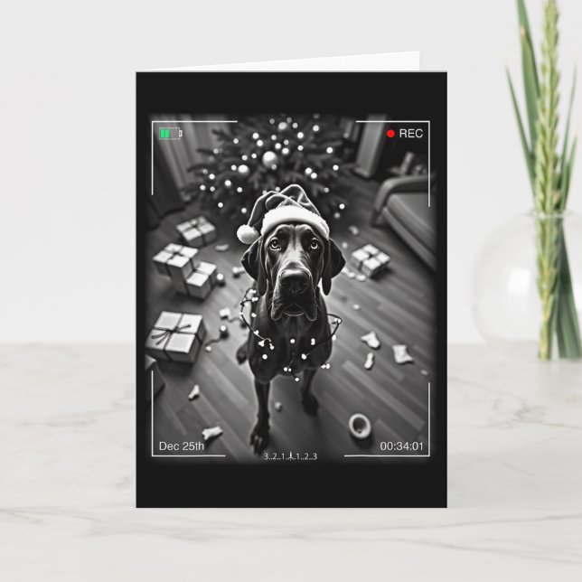 Christmas Great Dane Caught On Camera  Card (Front)