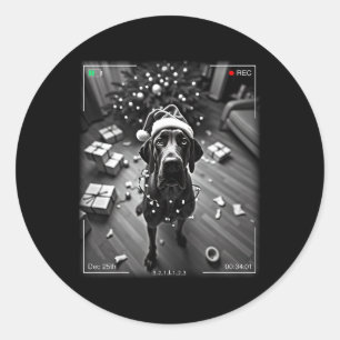 Christmas Great Dane Caught On Camera Classic Round Sticker