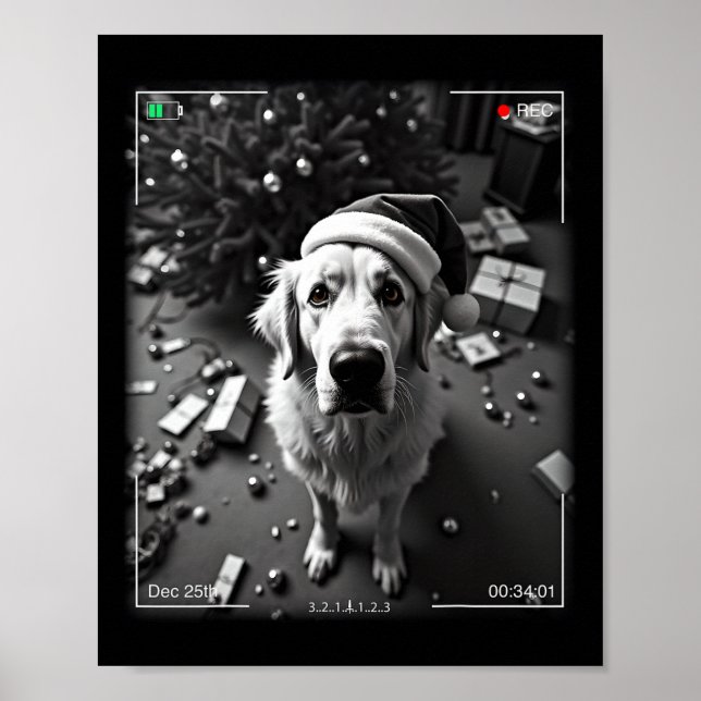 Christmas Great Pyrenees Caught On Camera  Poster (Front)