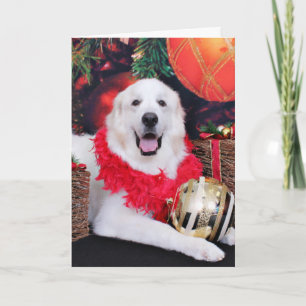 Christmas - Great Pyrenees - Sophie Holiday Card