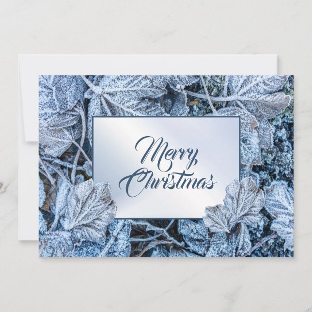 Christmas Greeting Blue Leaves Snow Winter Holiday Card (Front)
