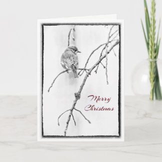 Christmas Greeting - Bluebird in Black and White Holiday Card