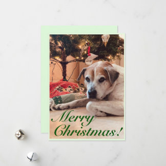 Christmas Greeting Card- Dog with a Christmas tree Holiday Card