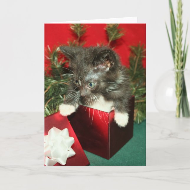 Christmas Greeting Card Kitten Present Gift (Front)