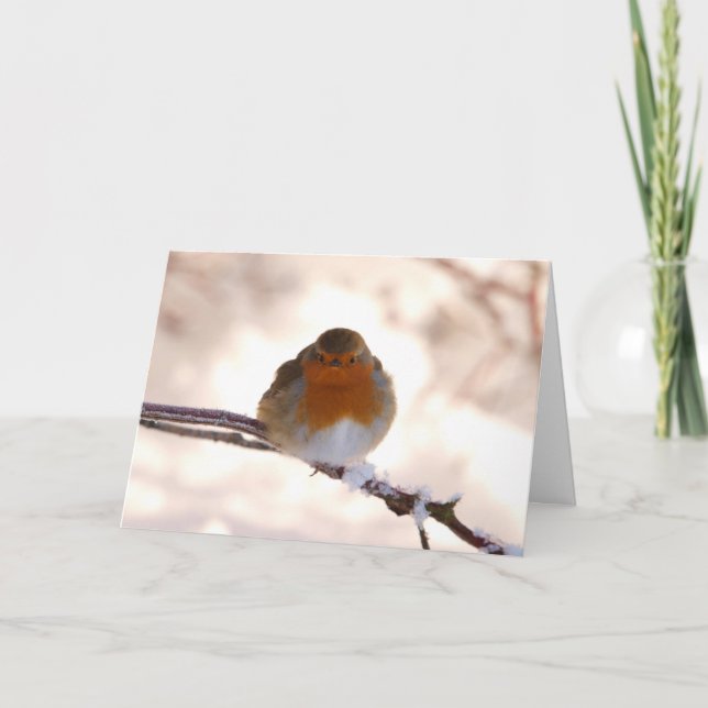 Christmas Greeting Card with Robin (Front)