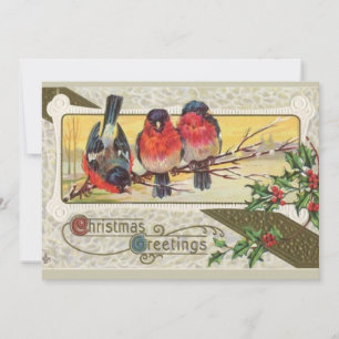 Christmas Greetings - Birds Holiday Card