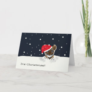 Christmas Greetings Card
