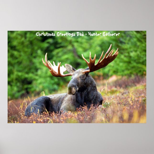 Christmas Greetings Dad Hunter Gatherer Poster (Front)