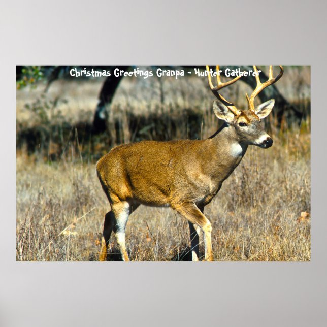 Christmas Greetings Dad Hunter Gatherer Poster (Front)