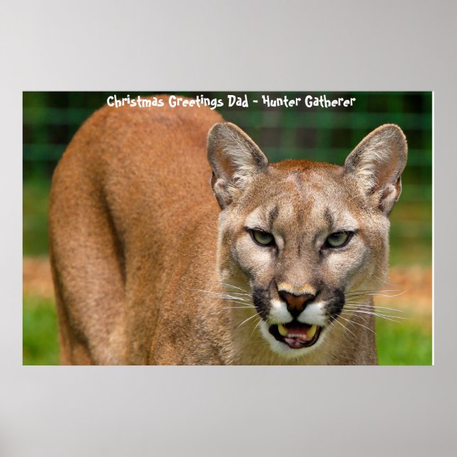 Christmas Greetings Dad Hunter Gatherer Poster (Front)