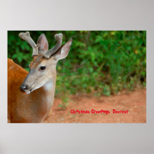 Christmas Greetings  Deerest Poster