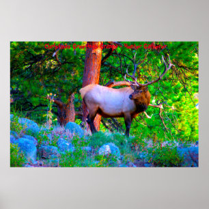 Christmas Greetings Grandpa Hunter Gatherer Poster