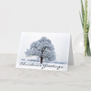 Christmas Greetings Holiday Card