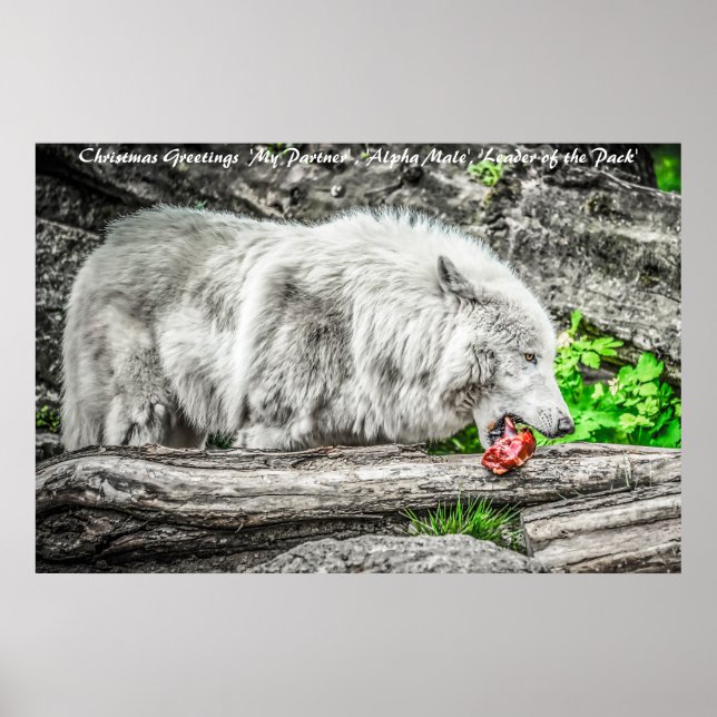 Christmas Greetings Leader of the Pack Poster (Front)