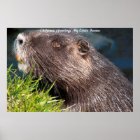 Christmas Greetings LMy Little Beaver