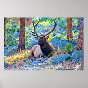 Christmas Greetings My Honey Friend Poster