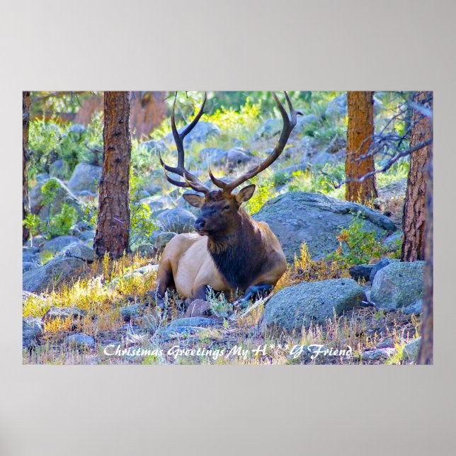 Christmas Greetings My Honey Friend Poster (Front)