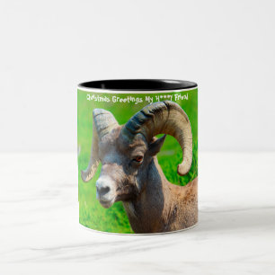 Christmas Greetings My Honey Friend Two-Tone Coffee Mug