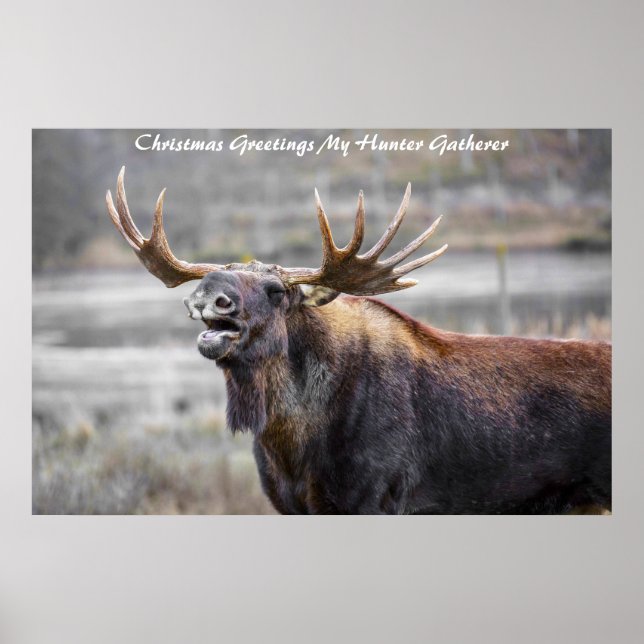 Christmas Greetings My Hunter Gatherer Poster (Front)