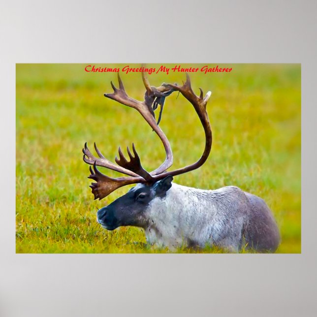 Christmas Greetings My Hunter Gatherer Poster (Front)