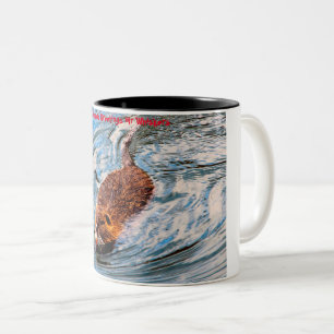 Christmas Greetings  My Little Beaver Two-Tone Coffee Mug