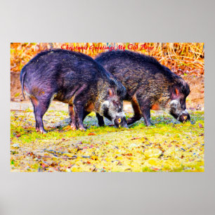 Christmas Greetings My Old Boar Poster