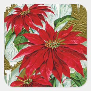 Christmas Greetings Pointsettia Square Sticker