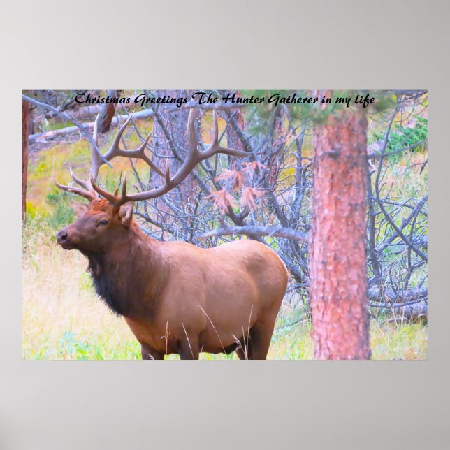 Christmas Greetings the Hunter Gatherer in my life Poster (Front)