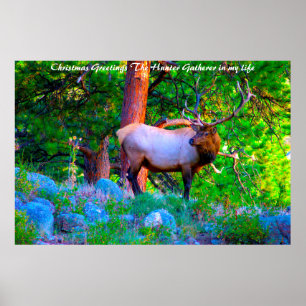 Christmas Greetings the Hunter Gatherer in my life Poster